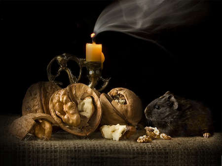 still life - abstract, mouse, still life, candle nut