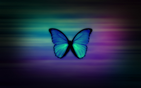 Girly - colorful, butterfly, blue, girly