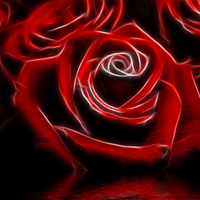 Fractal, Roses