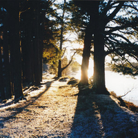 The Canal in Winter