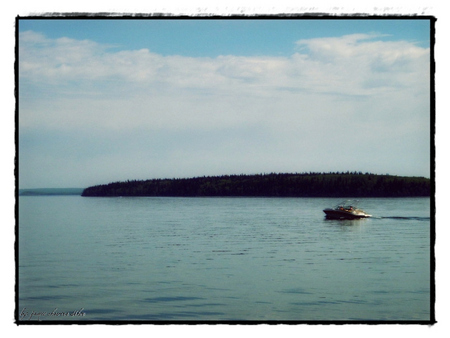 cold lake - nature, lake, trees, water, canada, boat