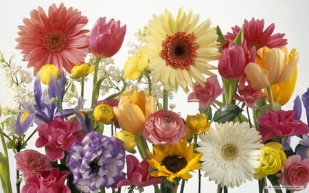 Pretty Boquet - assortment, boquet, flowers, pretty