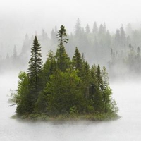 Island In The Mist