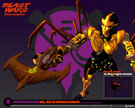 Blackarachnia - wars, transformers, blackarachnia, beast