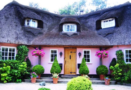 Little pink cottage - trees, thatched roof, bushes, pink, cottage