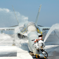 Wet Hornet
