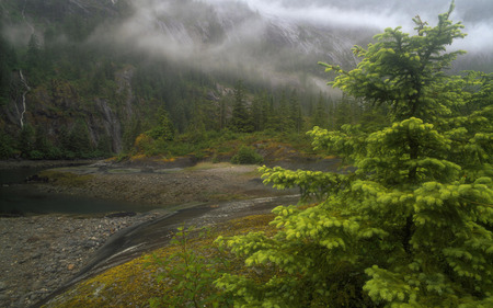 Beautiful Place - beauty, trees, peaceful, stream, mountains, foggy, view, cloud, river, green, tree, mountain, nature, cloudy, woods, forest, beautiful, splendor, fog, stones