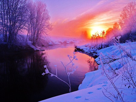 To melt the winter snow - trees, reflection, river, snow, winter, golden, sunrise