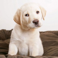 Cute eyes