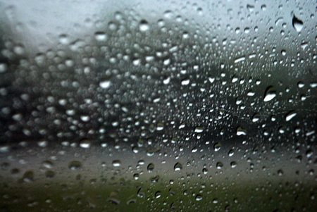 Rainy Day - trees, window, car, rain, day, water, missouri, drops