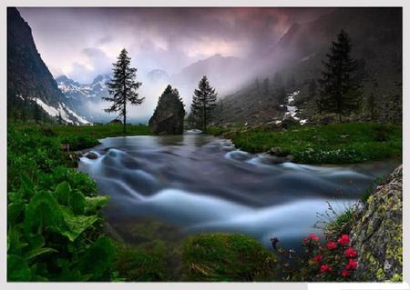 Free flowing - trees, mountain, riverbank, river, water, brook, foam, misty