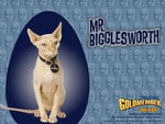 mr. Bigglesworth