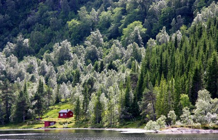 At the water - sweden, cool, water, beautiful, awesome, lake, sunny day, house, trees, nature, green