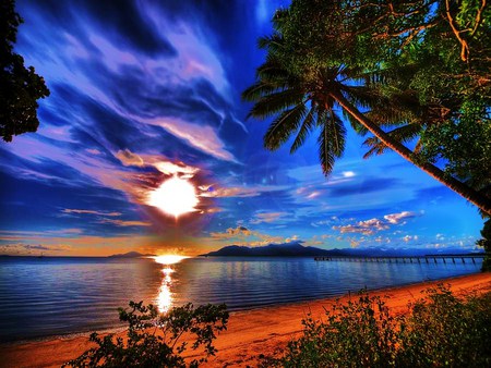 Blue velvet skies - palm tree, cloud formations, water, blue sky, sunset, shoreline golden light