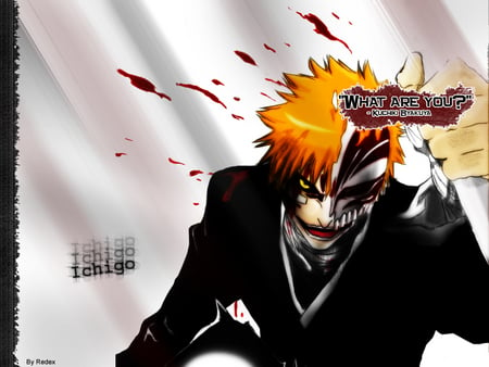 What Are You? - ichigo, anime, vizard, bleach