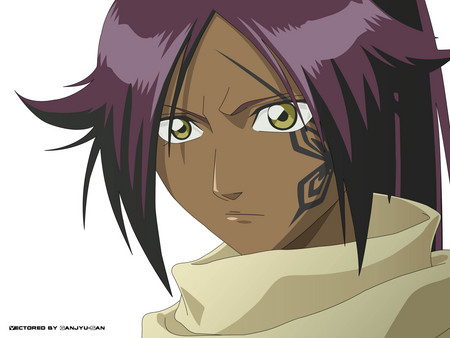 Yoruichi - yoruichi, anime, transformation, bleach