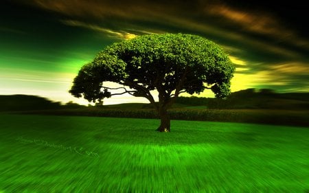 Hypno tree - tree, precious, landscape, grass