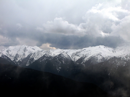 Hurricane Ridge - landscape, clouds, fog, mountains, washington, mist