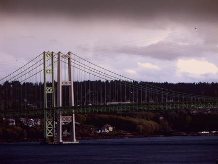 Tacoma Narrows 2 - suspension, bridge, storm, washington