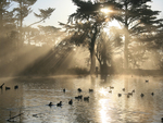 Stow Lake Sunset