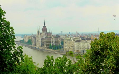 BUDAPEST - trees, river, budapest, buildings, foggy, misty