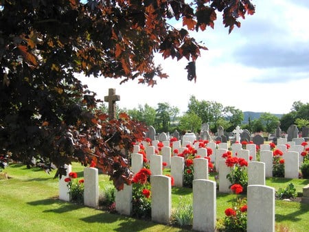 Canadian War Graves Part 2 - head stones, over hanging branch, cross, green grass, sky