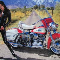 1966 Harley Davidson FLH Electra Glide