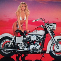 1969 Harley Davidson FLH