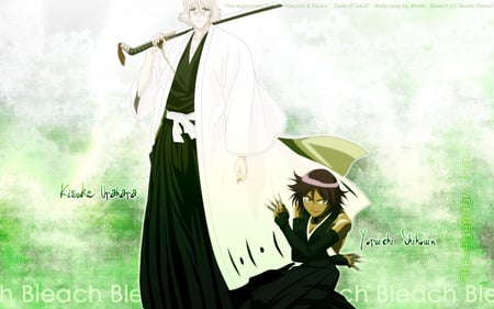 Urahara & Yoruichi - anime, urahara, yoruichi, bleach