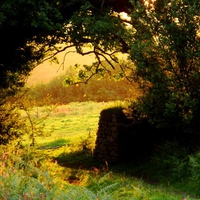 sunset in another field