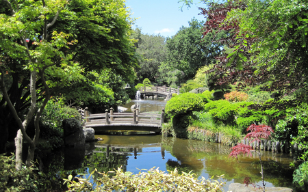 Tea Garden - architecture, flowers, garden, bridge, botanical, creek