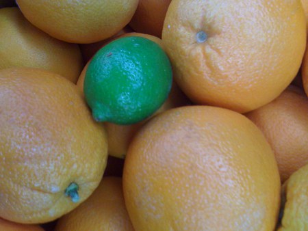 Citrus Fruits - oranges, green, lime, fruits, composition