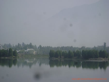 Dal Lake - nageen, nature, kashmir, paradise, dal lake