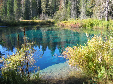 A little lake - water, crater, lake, trees