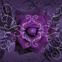 Fantasy Rose