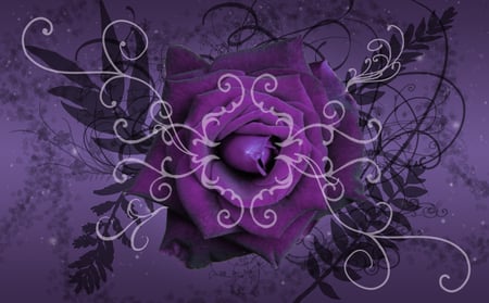 Fantasy Rose - purple, abstract, fantasy, rose