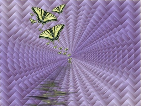 ILLUSION - purple, buterflies, yellow, illusion, black