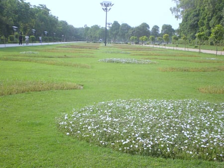 Garden - nature, flowers, garden