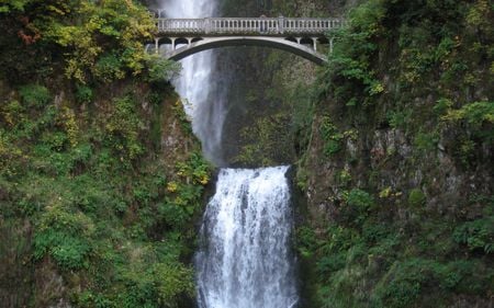 Multnomah Falls - vegetation, nature, falls, cliffs, bridge