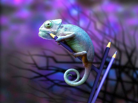 Cool Lizard - picture, amazing, lizard, cool