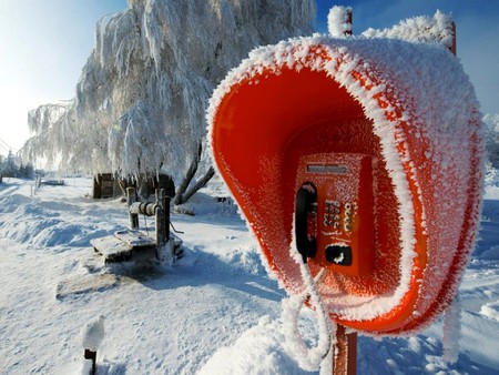 Frozen Booth - frozen, picture, booth, cool