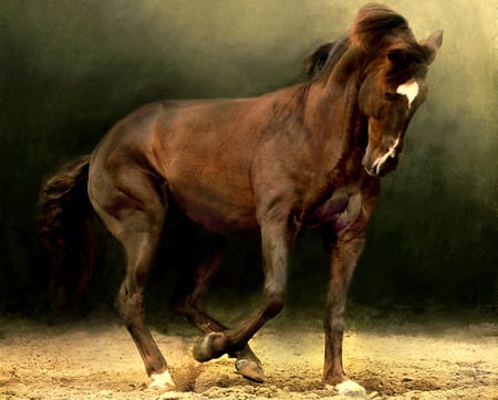 Strength And Beauty - standing, white forehead, chestnut, stallion