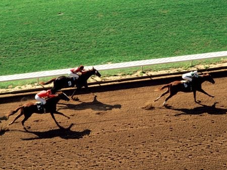 Untitled Wallpaper - horse racing