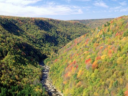 Untitled Wallpaper - pendleton overlook, west virginia, blackwater river