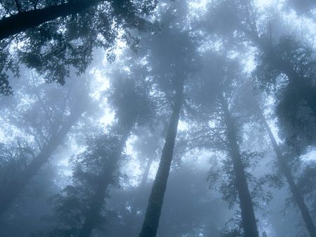 Untitled Wallpaper - oregon, cape lookout, tillamook county