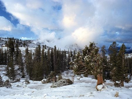 Untitled Wallpaper - sierra, nevada