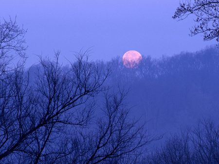 Untitled Wallpaper - moon, warner state park, tennessee, full moon