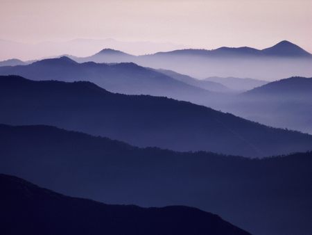 Untitled Wallpaper - purple majesty, purple, california, sequoia national park