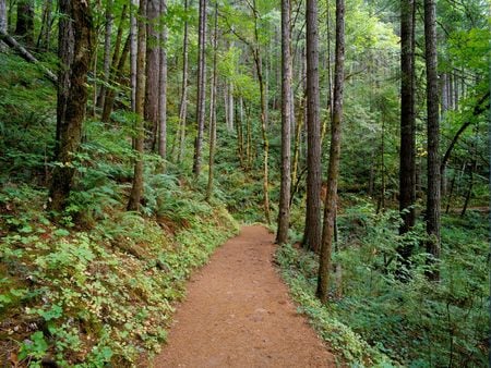 Untitled Wallpaper - oregon, columbia river gorge