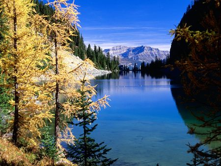 Lake Agnes - Banff National Park, Canada - sky, banff national park, trees, national parks, mountains, lakes, banff, canada, lake agnes, landscapes